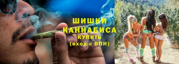 Альфа ПВП Аркадак
