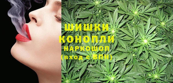 Альфа ПВП Аркадак