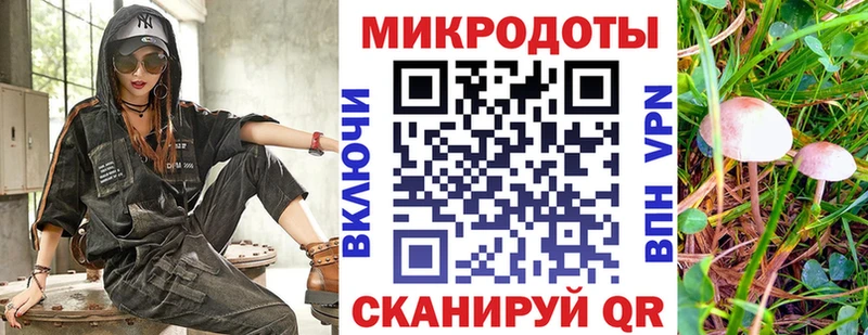 KRAKEN ссылки Крым Галлюциногенные грибы MAGIC MUSHROOMS